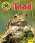 Image for Wildlife Watchers: Toad