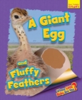 Image for A giant egg and fluffy feathers