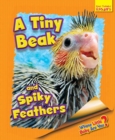 Image for A tiny beak and spiky feathers