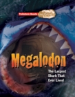 Image for Megalodon  : the largest shark that ever lived
