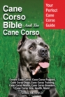 Image for Cane Corso Bible And The Cane Corso : Your Perfect Cane Corso Guide Covers Cane Corso, Cane Corso Puppies, Cane C