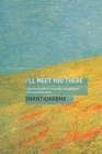 Image for I&#39;ll meet you there  : a practical guide to empathy, mindfulness and communication