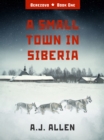 Image for A small town in Siberia