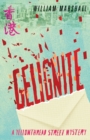 Image for Yellowthread Street: Gelignite (Book 3)