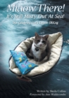 Image for Miaow There! It&#39;s Still Misty Out At Sea!
