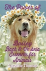 Image for The Power of Bailey, Bach and Verbeia Essences for Animals
