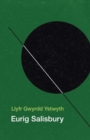 Image for Llyfr Gwyrdd Ystwyth