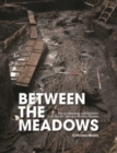 Image for Between the meadows  : the archaeology of Edercloon on the N4 Dromod-Roosky bypass