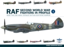 Image for Raf Second World War Fighters in Profile