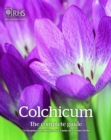 Image for Colchicum: The Complete Guide
