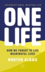 Image for One Life : How we forgot to live meaningful lives