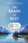 Image for The Brain at Rest