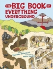 Image for The Big Book Of The Underground