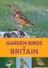 Image for A Naturalist&#39;s Guide to the Garden Birds of Britain (2nd edition)