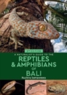 Image for A naturalist&#39;s guide to the reptiles &amp; amphibians of Bali