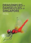 Image for A Photographic Field Guide to the Dragonflies &amp; Damselflies of Singapore