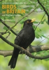 Image for An Identification Guide to Birds of Britain and Northern Europe (2nd edition)
