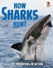 Image for How sharks hunt