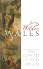 Image for A wilder Wales: travellers&#39; tales 1610-1831