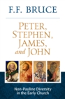 Image for Peter, Stephen, James, And John: Non-Pauline Diversity in the Early Church