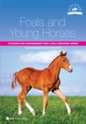 Image for Foals and young horses: training and management for a well-behaved horse