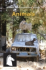 Image for Animals : 4