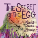 Image for The secret of the egg