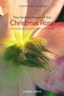 Image for The Healing Power of the Christmas Rose : The Medicinal Value of Black Hellebore