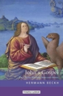 Image for John&#39;s Gospel : The Cosmic Rhythm, Stars and Stones