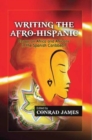 Image for Writing the Afro-hispanic: Essays On Africa and Africans in the Spanish Caribbean