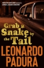 Image for Grab a snake by the tail
