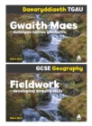 Image for Daearyddiaeth TGAU: Pecyn Gwaith Maes / Gcse Geography: Fieldwork Pack