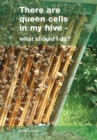 Image for There are queen cells in my hive
