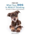Image for Find Out What Your Dog is Really Thinking : 100 Ways to Read Thier Signals