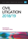 Image for Civil Litigation 2018/2019