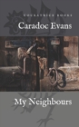 Image for My Neighbours : Stories of the Welsh People