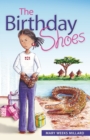 Image for The Birthday Shoes