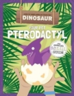 Image for Your Pet Pterodactyl