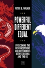Image for Powerful, Different, Equal : Overcoming the Misconceptions and Differences Between China and the US