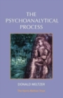 Image for The Psychoanalytical Process
