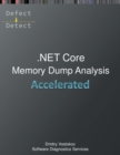 Image for Accelerated .NET Core Memory Dump Analysis