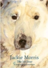 Image for Jackie Morris Postcard Pack: The Ice Bear