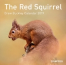 Image for The Red Squirrel Calendar 2019