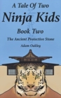 Image for A Tale Of Two Ninja Kids - Book Two