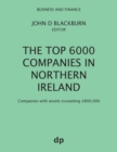 Image for The top 6000 companies in Northern Ireland  : companies with assets exceeding 800,000