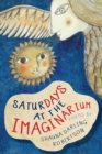 Image for Saturdays at the imaginarium  : poems