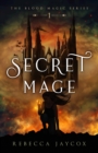 Image for Secret mage
