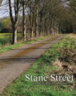 Image for Stane Street : From Chichester to London