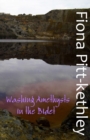 Image for Washing Amethysts in the Bidet