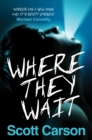 Image for Where they wait